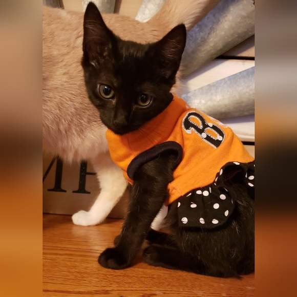 Bundle & Save.. - Picture 10 of 15